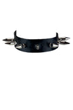IN STOCK 7-spike collar 12-17”