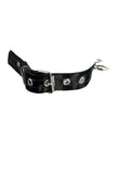 IN STOCK 7-spike collar 12-17”